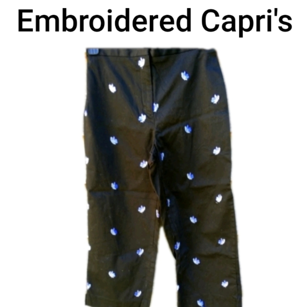 🔥Capri's Black Embroidered with Blue/Purple 4P EUC Cotton/Spandex Zipper & Hook